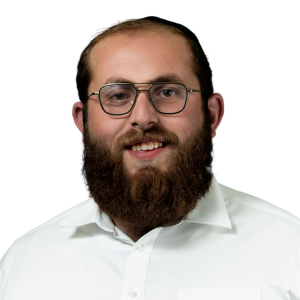 Picture of Mr. Shua Pariser